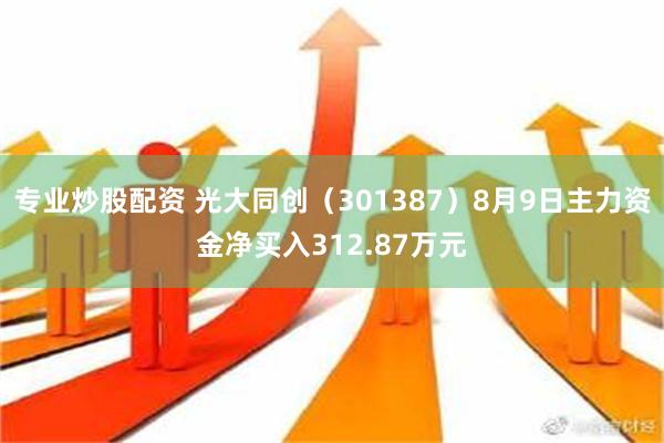 专业炒股配资 光大同创（301387）8月9日主力资金净买入312.87万元