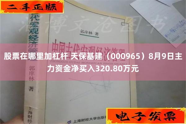 股票在哪里加杠杆 天保基建（000965）8月9日主力资金净买入320.80万元