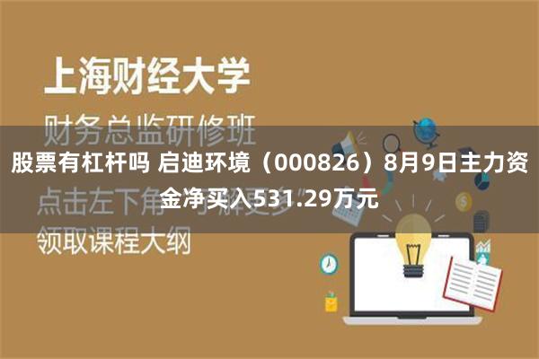 股票有杠杆吗 启迪环境（000826）8月9日主力资金净买入531.29万元