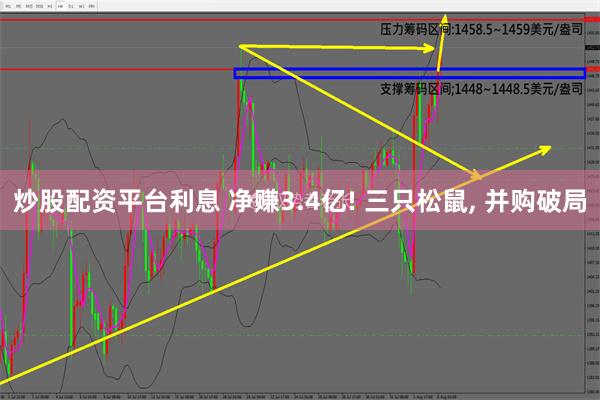 炒股配资平台利息 净赚3.4亿! 三只松鼠, 并购破局