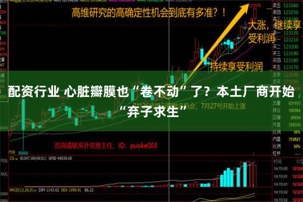 配资行业 心脏瓣膜也“卷不动”了？本土厂商开始“弃子求生”